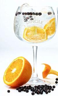 Dingle Gin Glas (6 STK.)